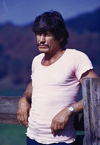 Charles Bronson.jpg