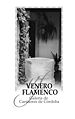 Portada Venero Flamenco BN.jpg