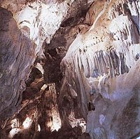 Cueva de los Murcielagos. Zuheros.jpg